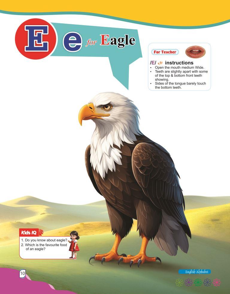 English Alphabet10