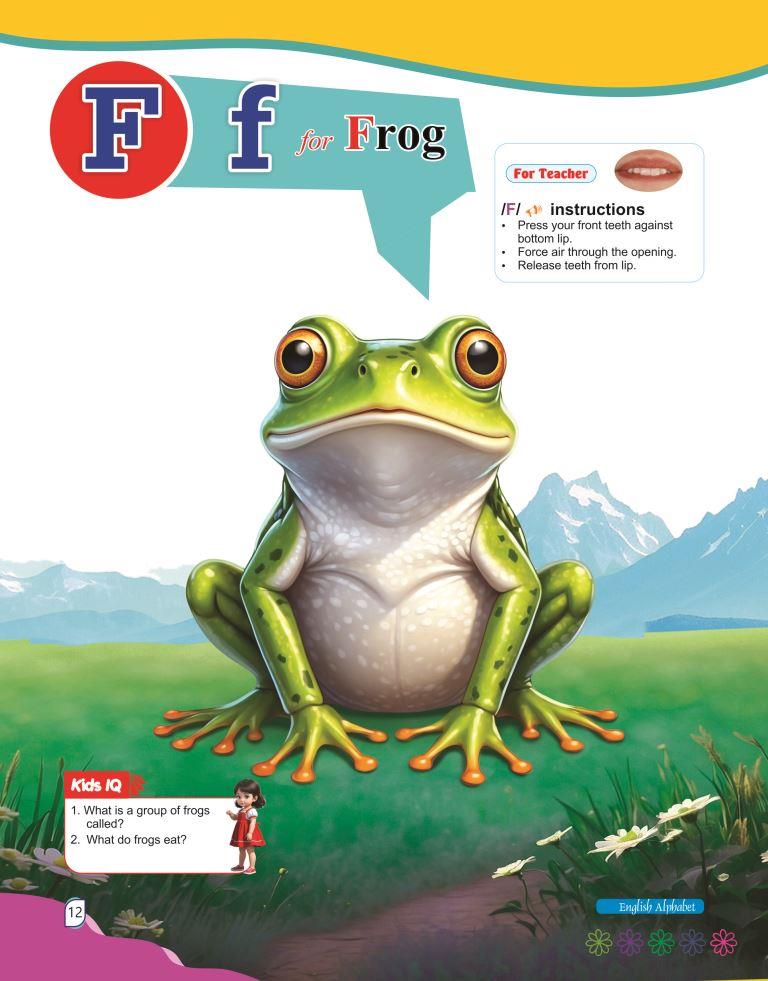 English Alphabet12