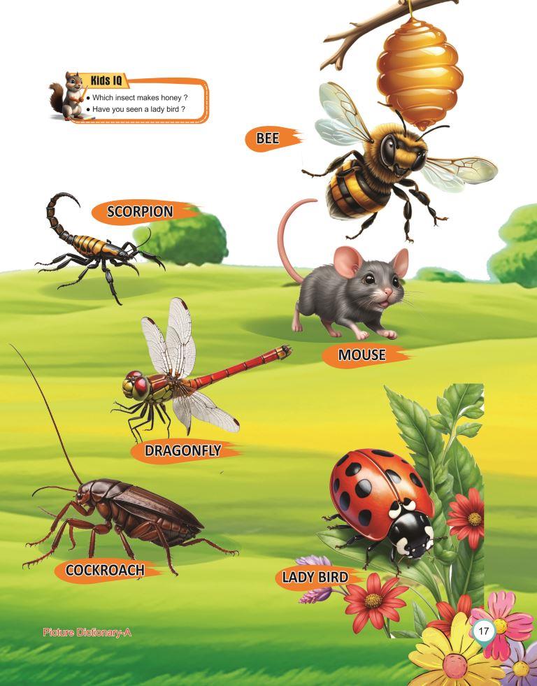 Picture Dictionary A 17