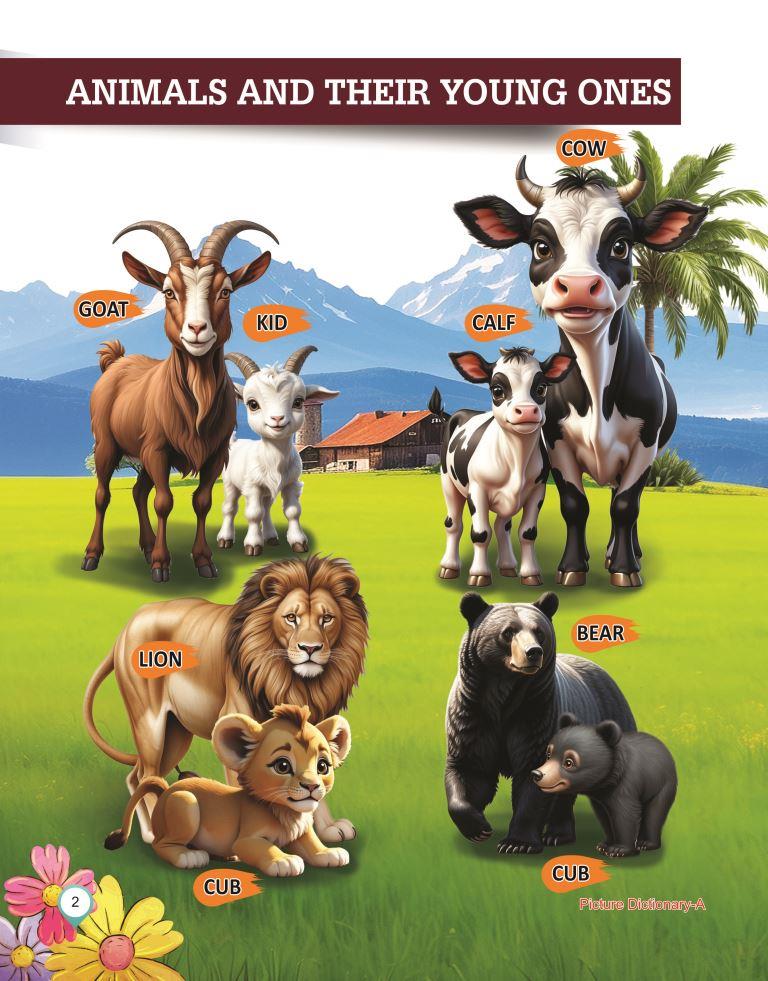 Picture Dictionary A 2