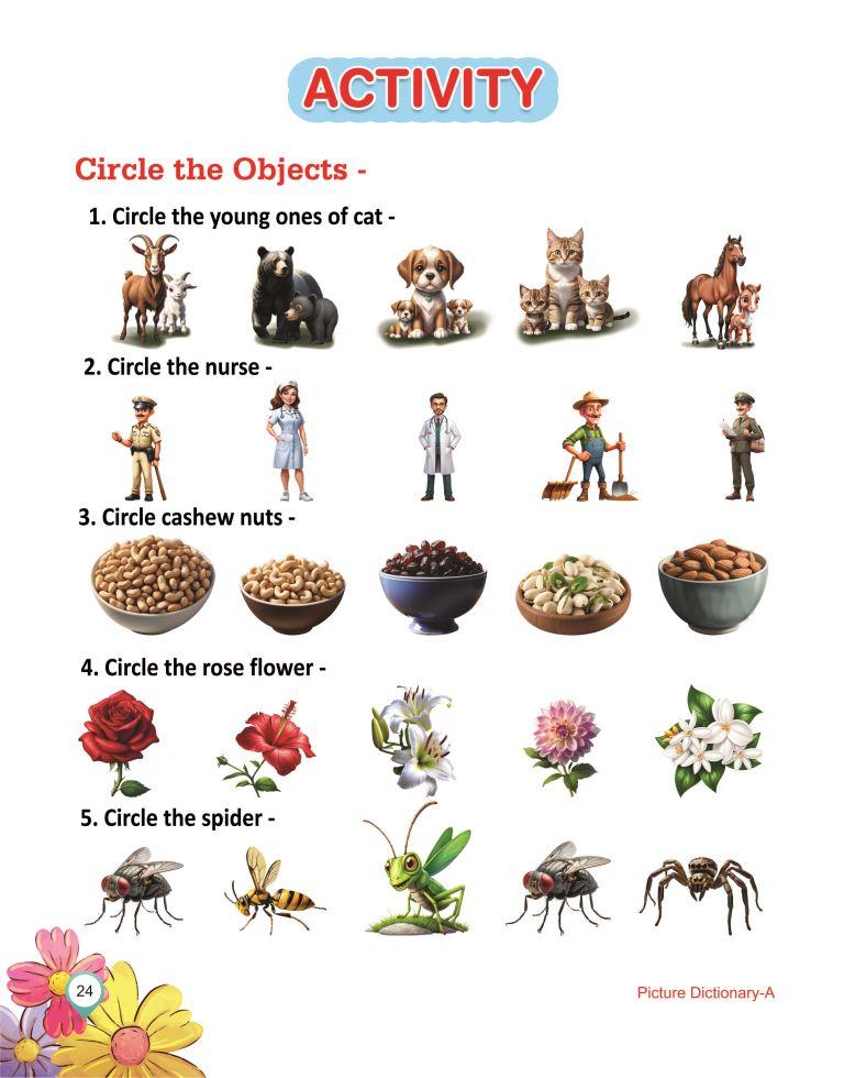 Picture Dictionary A 24