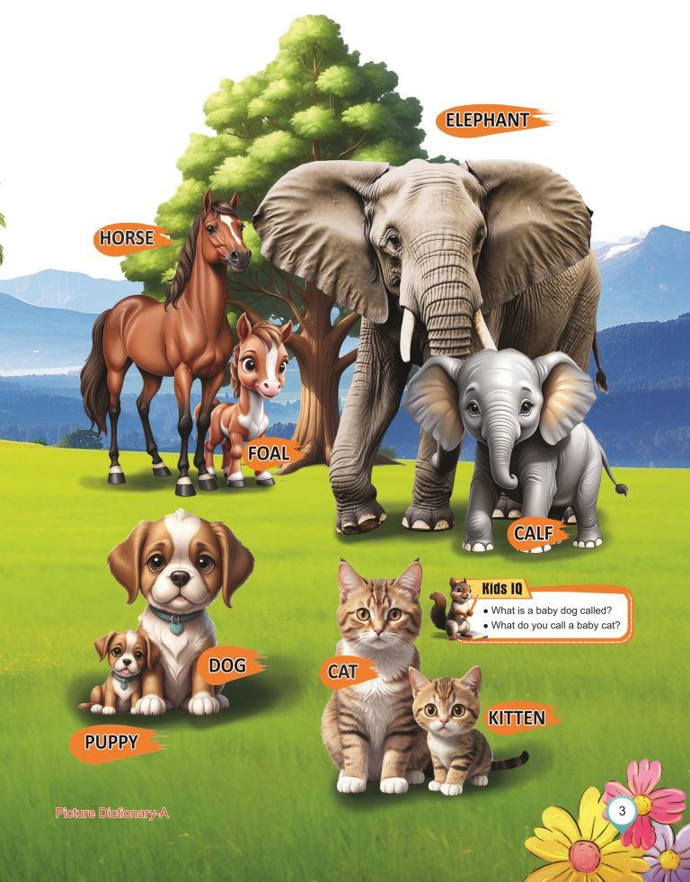 Picture Dictionary A 3