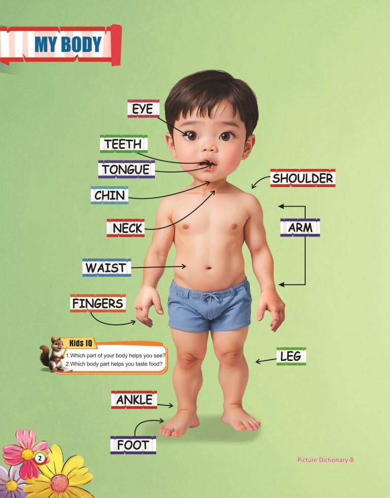 Picture Dictionary B 2