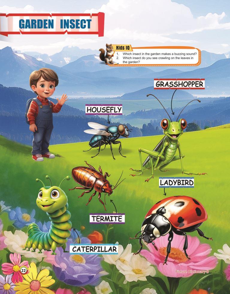 Picture Dictionary B 22