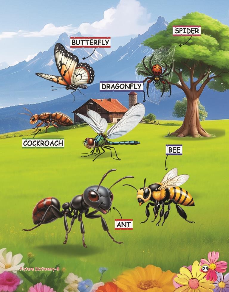 Picture Dictionary B 23
