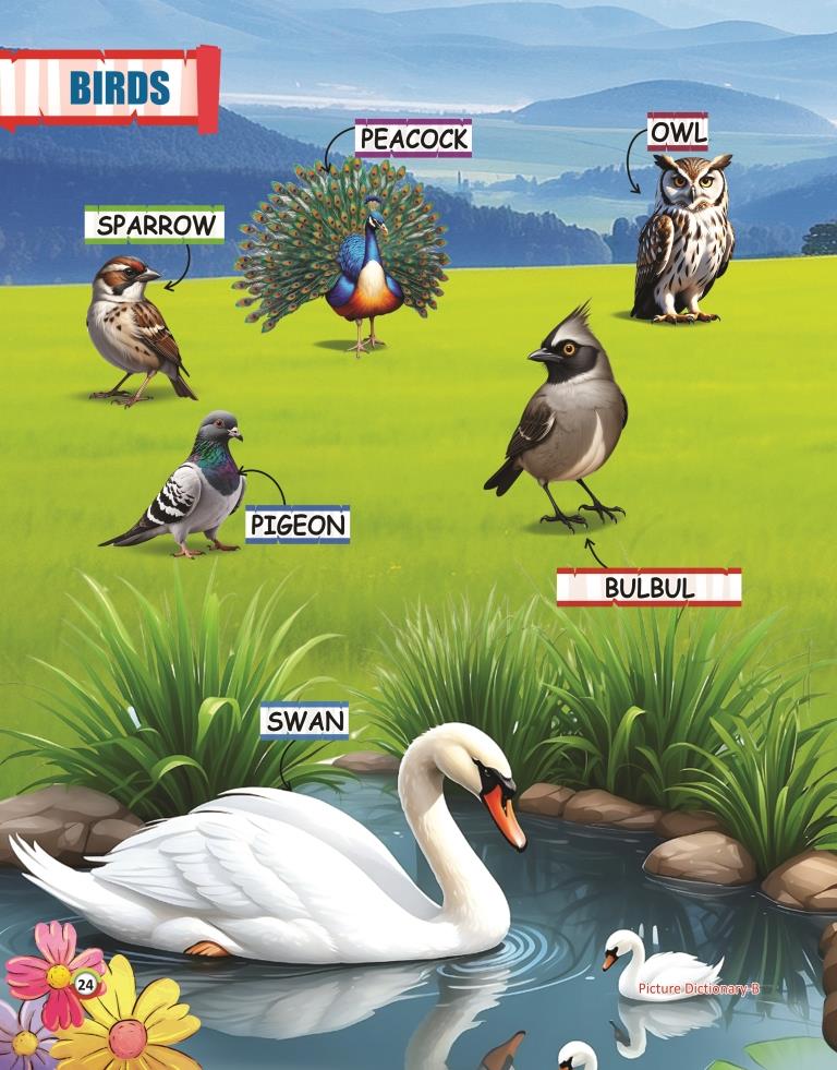 Picture Dictionary B 24