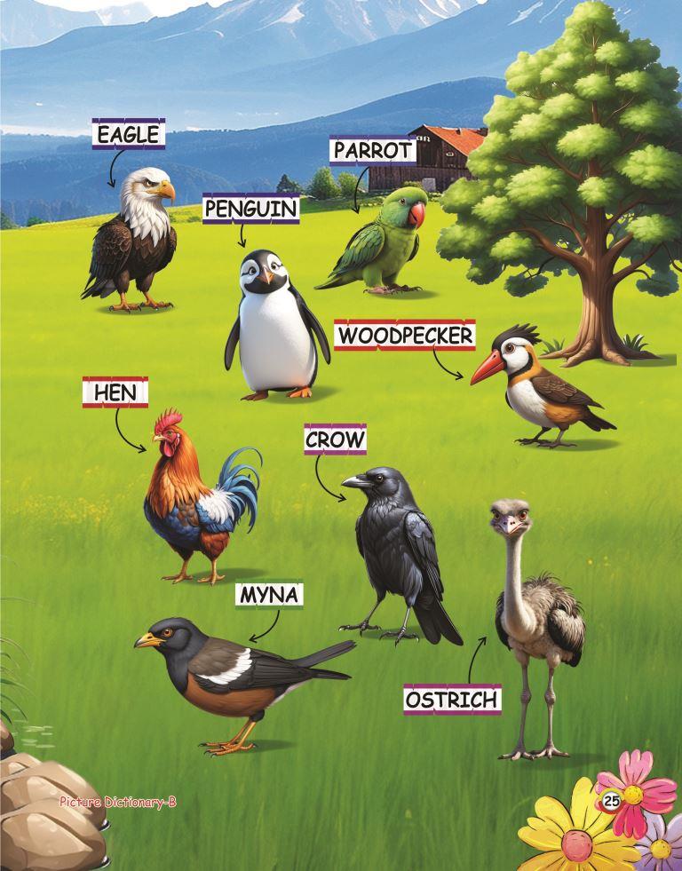 Picture Dictionary B 25