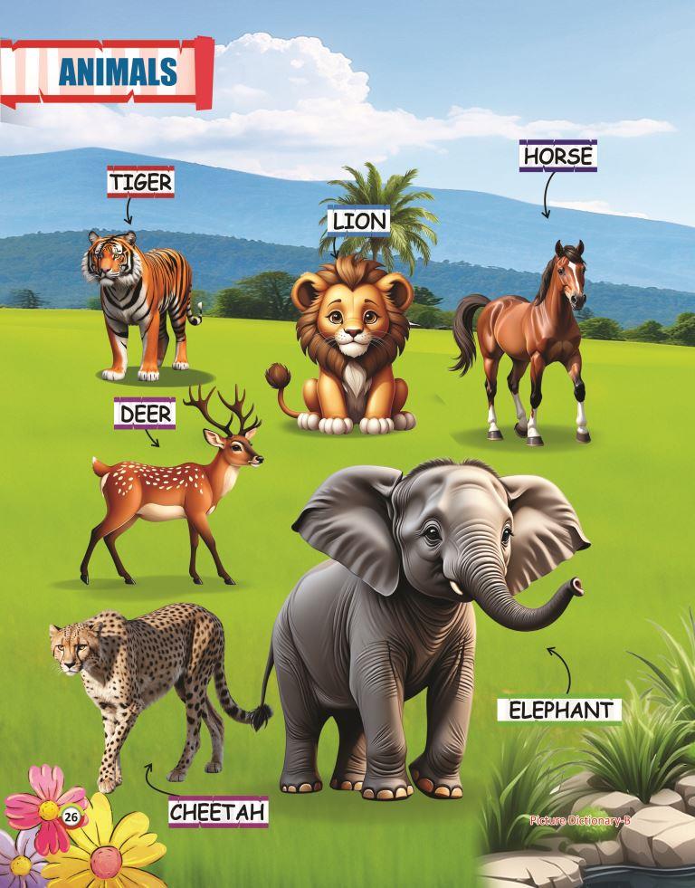 Picture Dictionary B 26