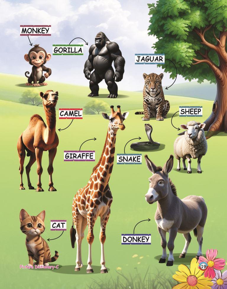 Picture Dictionary C 19