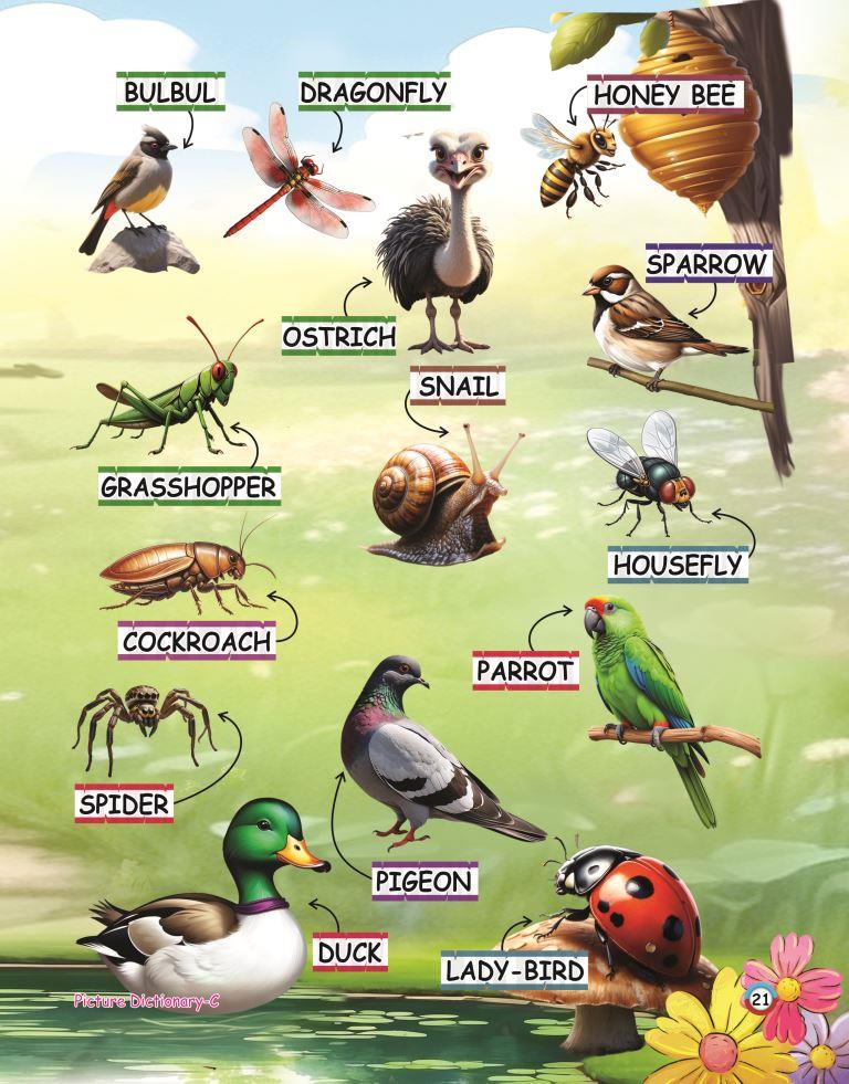Picture Dictionary C 21