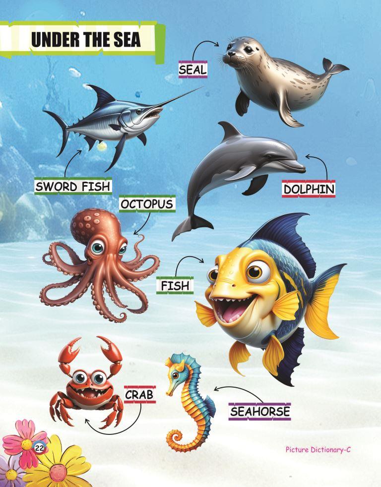 Picture Dictionary C 22