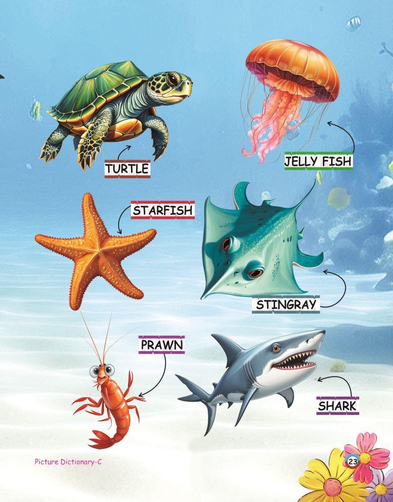 Picture Dictionary C 23