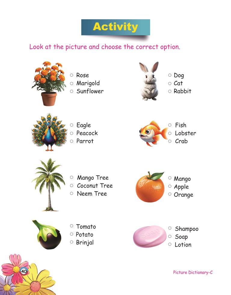 Picture Dictionary C 40