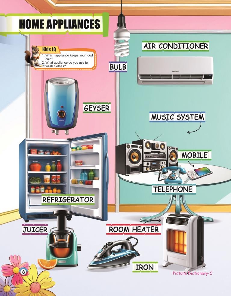 Picture Dictionary C 8
