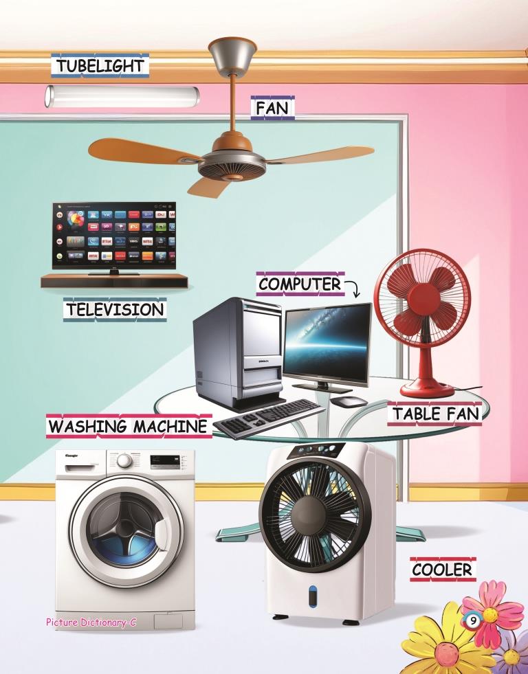 Picture Dictionary C 9